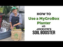 Load and play video in Gallery viewer, MyGroBox Planter
