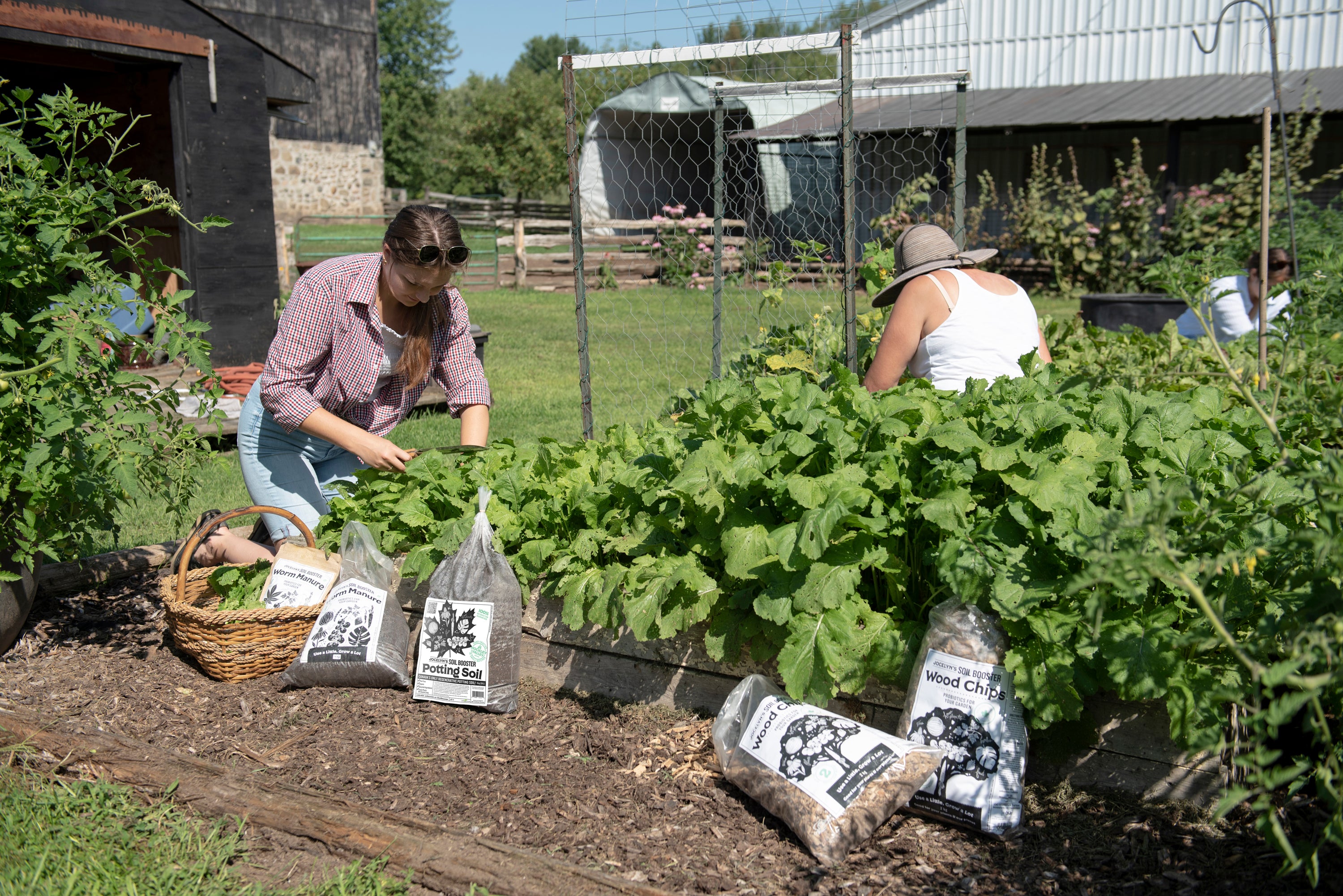 Wood Chip Mulch - Weathered, Dry, Cracked, and Weedy Soil
