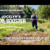 Living Mulch Cover Crop Kit - 1kg