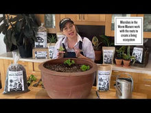 Load and play video in Gallery viewer, Probiotics for Plants Worm Manure (Castings)
